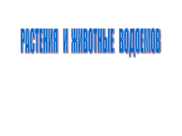 РАСТЕНИЯ И ЖИВОТНЫЕ ВОДОЕМОВ