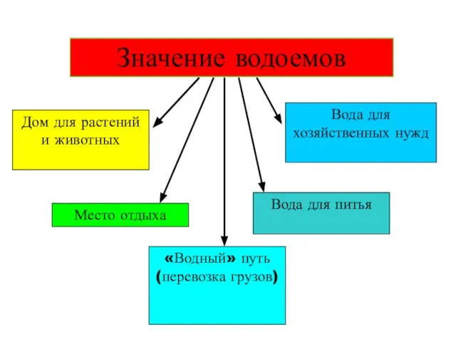 Значение водоемов Дом для растений и животных Место отдыха Вода для питья