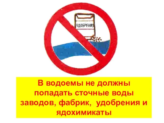 В водоемы не должны попадать сточные воды заводов, фабрик, удобрения и ядохимикаты