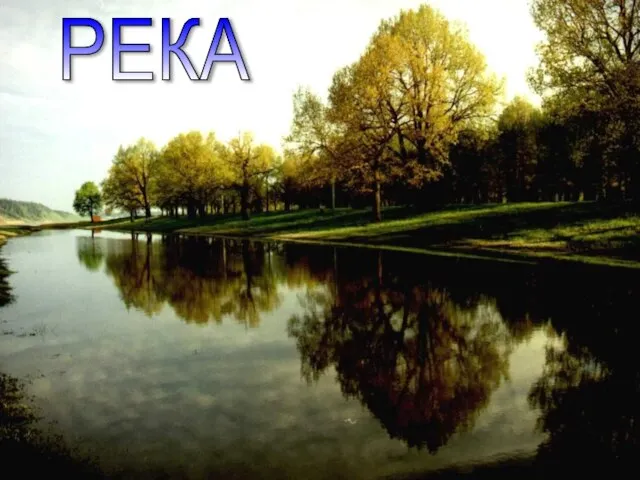 РЕКА