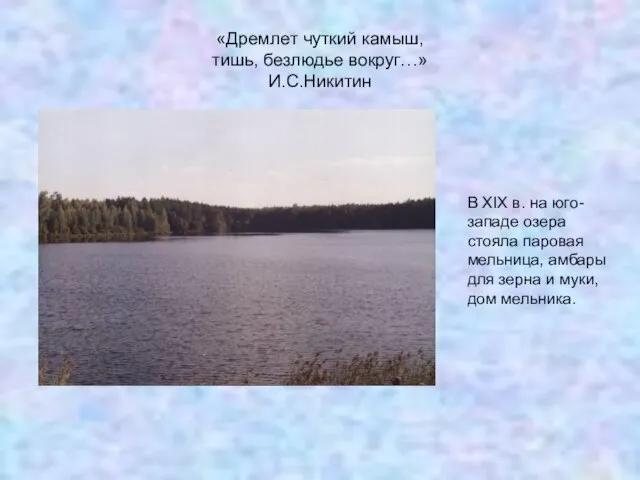 «Дремлет чуткий камыш, тишь, безлюдье вокруг…» И.С.Никитин В XIX в. на юго-западе