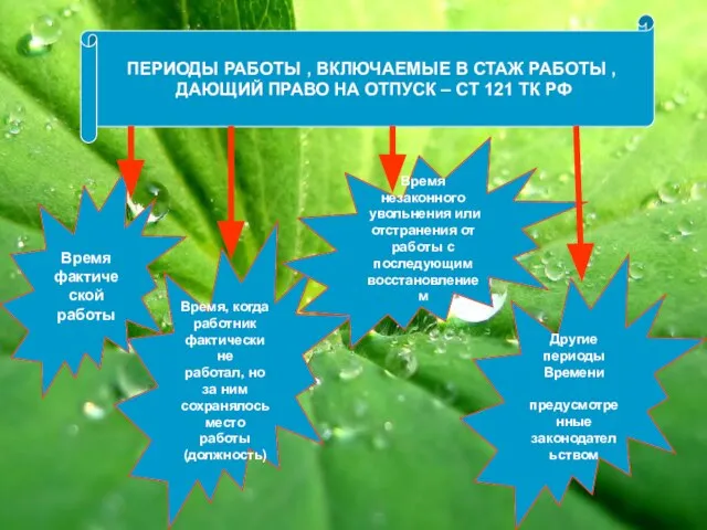 ПЕРИОДЫ РАБОТЫ , ВКЛЮЧАЕМЫЕ В СТАЖ РАБОТЫ , ДАЮЩИЙ ПРАВО НА ОТПУСК