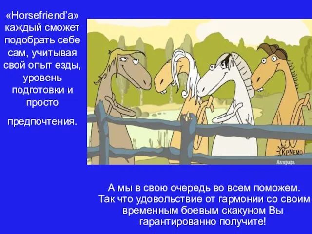 «Horsefriend’a» каждый сможет подобрать себе сам, учитывая свой опыт езды, уровень подготовки