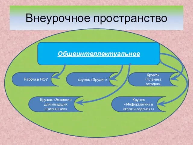 Внеурочное пространство Общеинтеллектуальное Кружок «Экология для младших школьников» кружок «Эрудит» Кружок «Планета