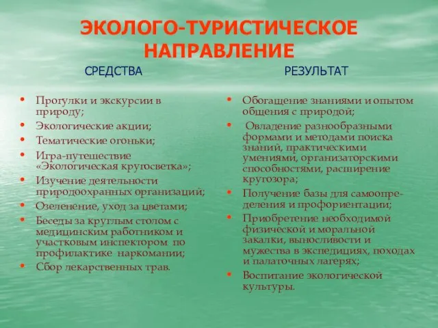 ЭКОЛОГО-ТУРИСТИЧЕСКОЕ НАПРАВЛЕНИЕ СРЕДСТВА Прогулки и экскурсии в природу; Экологические акции; Тематические огоньки;