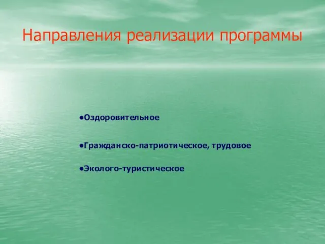 Направления реализации программы Оздоровительное Гражданско-патриотическое, трудовое Эколого-туристическое