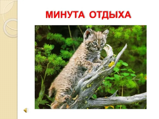 МИНУТА ОТДЫХА