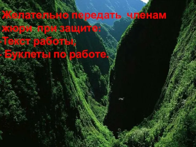 Желательно передать членам жюри при защите: Текст работы, Буклеты по работе.