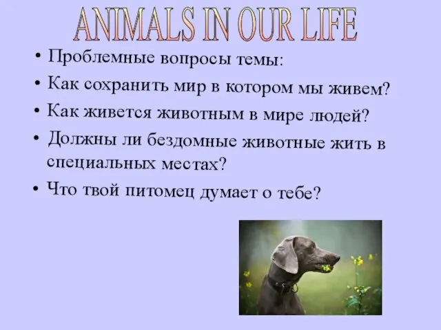 Проблемные вопросы темы: Как сохранить мир в котором мы живем? Как живется