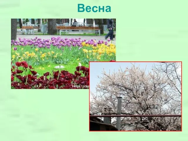 Весна