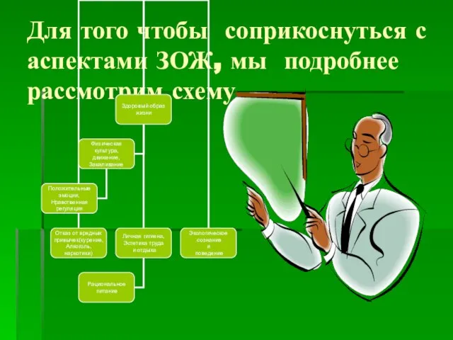 Для того чтобы соприкоснуться с аспектами ЗОЖ, мы подробнее рассмотрим схему