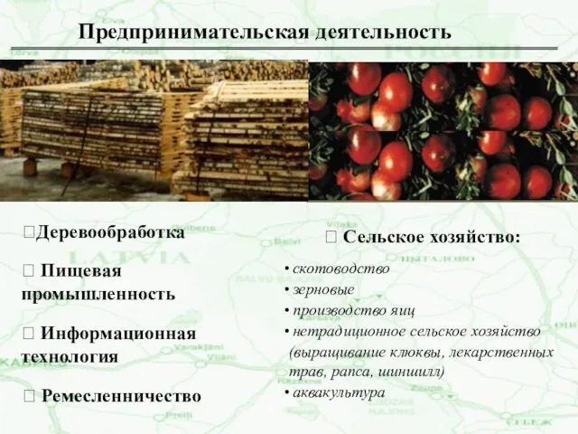 ? Информационная технология ?Деревообработка ? Пищевая промышленность ? Ремесленничество Предпринимательская деятельность ?