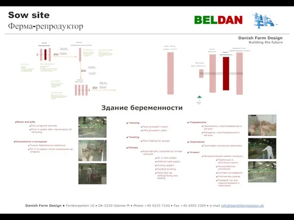 Sow site Ферма-репродуктор BELDAN Entrance Weaners – 8 till 30 kg Farrowing