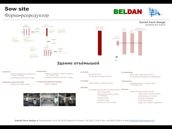 Sow site Ферма-репродуктор BELDAN Entrance Weaners – 8 till 30 kg Farrowing