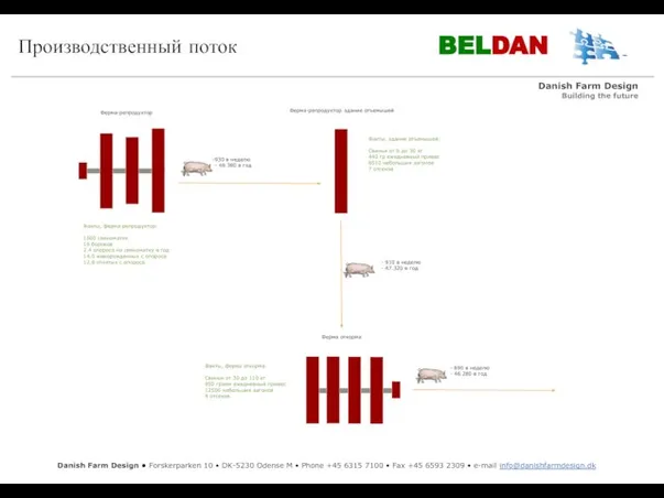 Производственный поток BELDAN