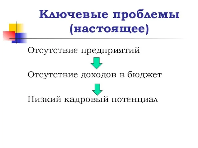 Ключевые проблемы (настоящее) Отсутствие предприятий Отсутствие доходов в бюджет Низкий кадровый потенциал