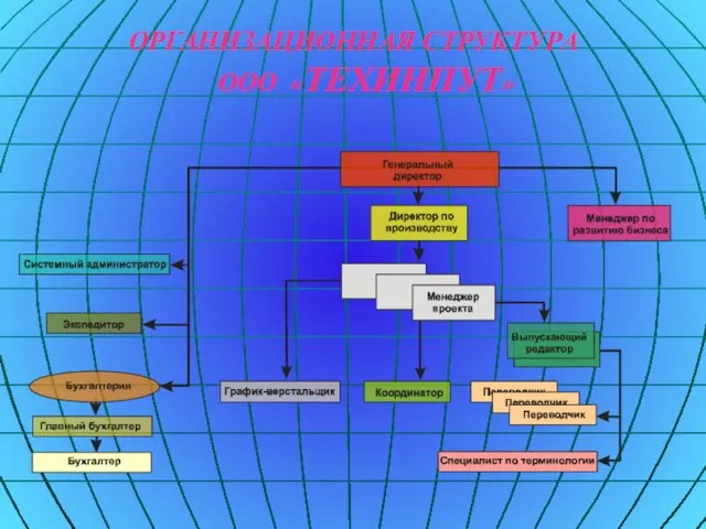ОРГАНИЗАЦИОННАЯ СТРУКТУРА ООО «ТЕХИНПУТ»