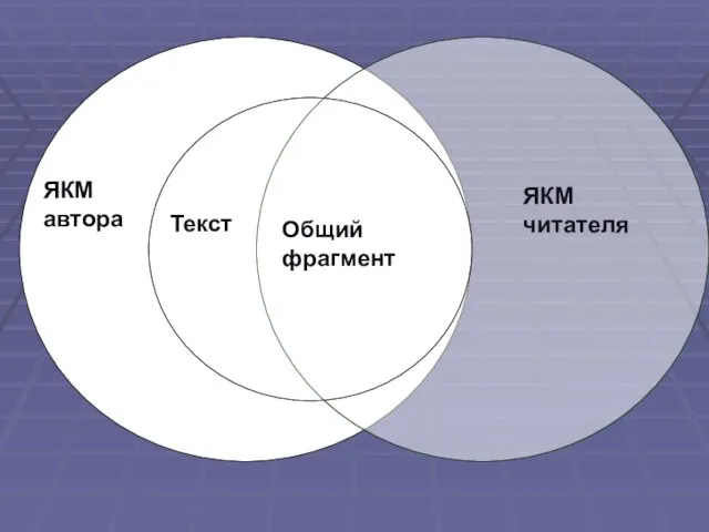 ЯКМ автора ЯКМ читателя Текст Общий фрагмент