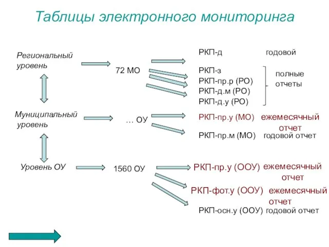 Таблицы электронного мониторинга Региональный уровень Муниципальный уровень Уровень ОУ 1560 ОУ РКП-пр.у