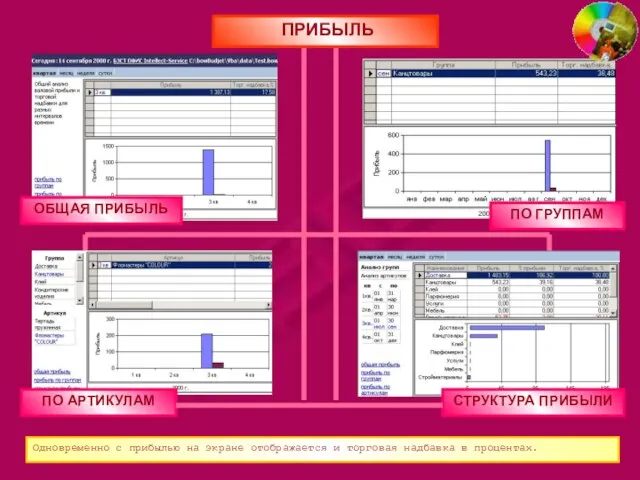 ПРИБЫЛЬ ОБЩАЯ ПРИБЫЛЬ ПО ГРУППАМ ПО АРТИКУЛАМ СТРУКТУРА ПРИБЫЛИ Одновременно с прибылью