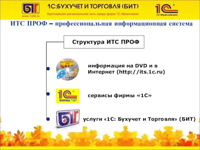 ИТС ПРОФ – профессиональная информационная система Структура ИТС ПРОФ информация на DVD