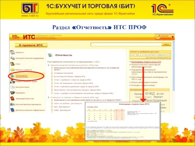 Раздел «Отчетность» ИТС ПРОФ