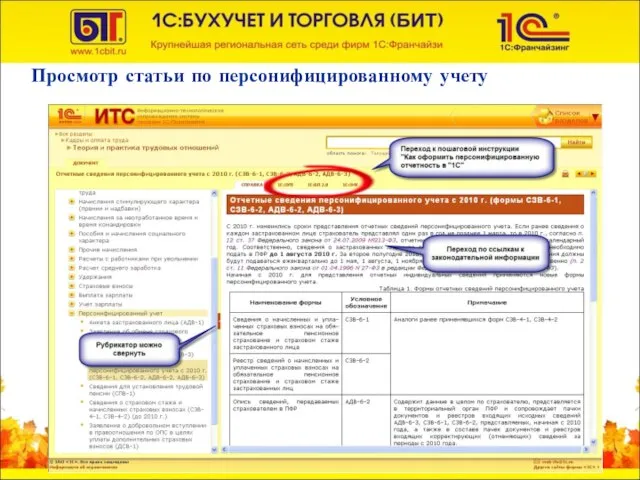 Просмотр статьи по персонифицированному учету