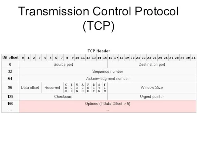 Transmission Control Protocol (TCP)