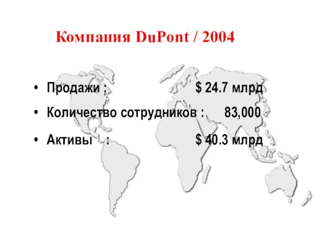 Компания DuPont / 2004