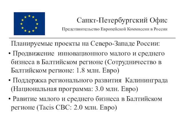 Санкт-Петербургский Офис Представительство Европейской Коммиссии в России