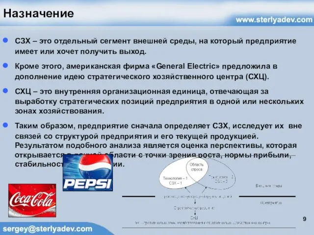 Назначение СЗХ – это отдельный сегмент внешней среды, на который предприятие имеет