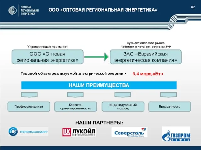 02 ООО «ОПТОВАЯ РЕГИОНАЛЬНАЯ ЭНЕРГЕТИКА» ООО «Оптовая региональная энергетика» ЗАО «Евразийская энергетическая