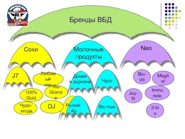 Бренды ВБД Соки Молочные продукты Neo Любимый сад Rio Grande 100% Gold