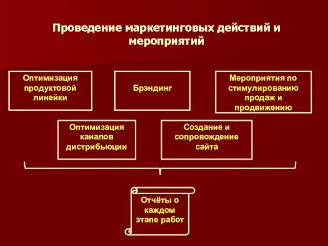 Оптимизация продуктовой линейки Оптимизация каналов дистрибьюции Брэндинг Мероприятия по стимулированию продаж и