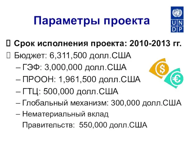 Example of chart placement Параметры проекта Срок исполнения проекта: 2010-2013 гг. Бюджет: