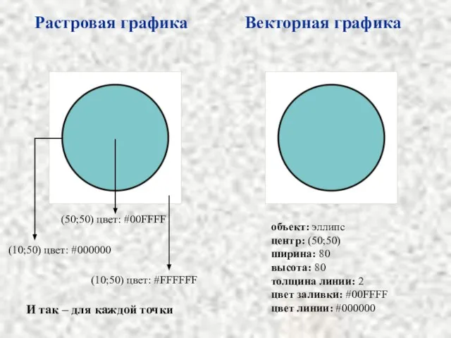 Растровая графика Векторная графика (10;50) цвет: #000000 (50;50) цвет: #00FFFF (10;50) цвет: