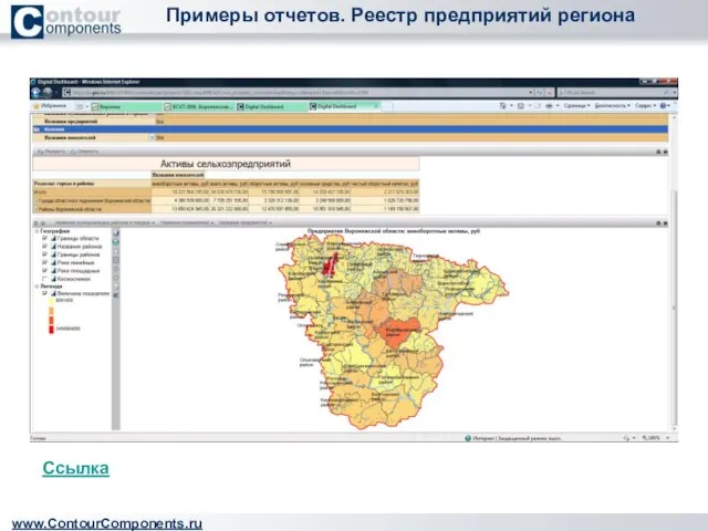 Примеры отчетов. Реестр предприятий региона www.ContourComponents.ru Ссылка