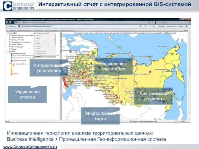 Интерактивный отчет с интегрированной GIS-системой www.ContourComponents.ru Управление слоями Многослойная карта Управление масштабом