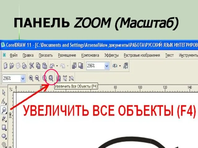 ПАНЕЛЬ ZOOM (Масштаб)