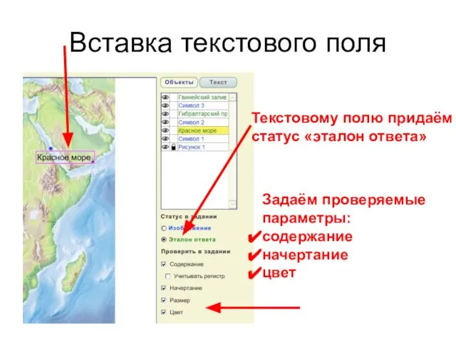 Вставка текстового поля Текстовому полю придаём статус «эталон ответа» Задаём проверяемые параметры: содержание начертание цвет