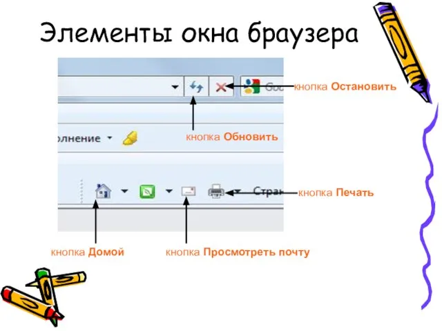 Элементы окна браузера