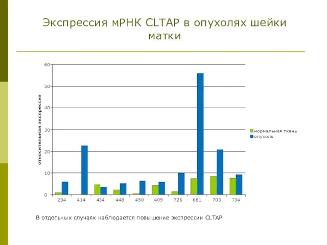 Экспрессия мРНК CLTAP в опухолях шейки матки В отдельных случаях наблюдается повышение экспрессии CLTAP