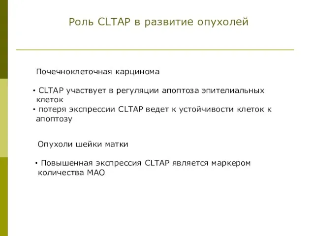 Роль CLTAP в развитие опухолей Почечноклеточная карцинома CLTAP участвует в регуляции апоптоза