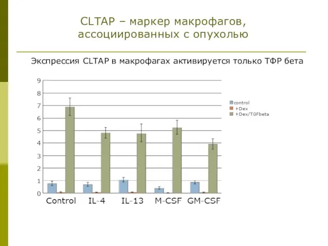 CLTAP – маркер макрофагов, ассоциированных с опухолью Экспрессия CLTAP в макрофагах активируется только ТФР бета