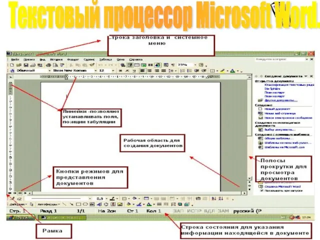 Текстовый процессор Microsoft Word.