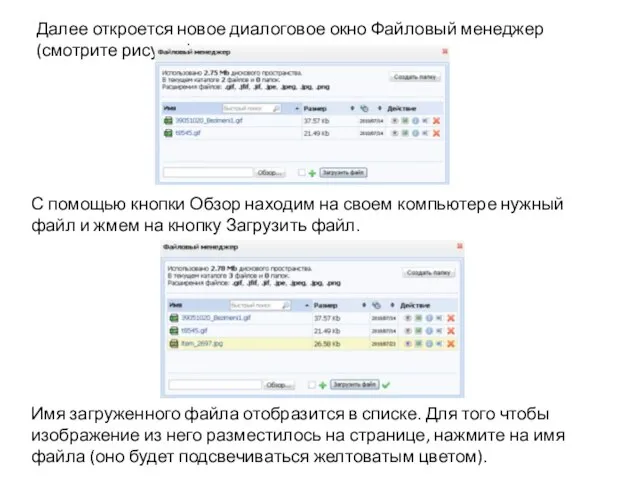 Далее откроется новое диалоговое окно Файловый менеджер (смотрите рисунок) С помощью кнопки