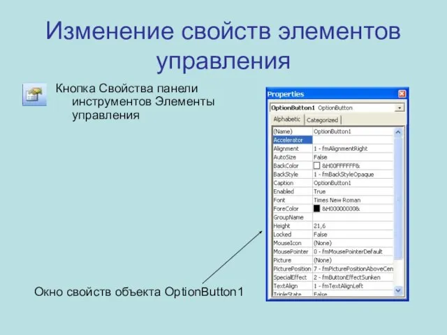 Изменение свойств элементов управления Кнопка Свойства панели инструментов Элементы управления Окно свойств объекта OptionButton1