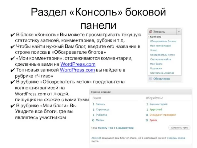 Раздел «Консоль» боковой панели В блоке «Консоль» Вы можете просматривать текущую статистику