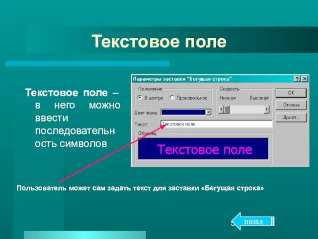 Текстовое поле Текстовое поле – в него можно ввести последовательность символов назад