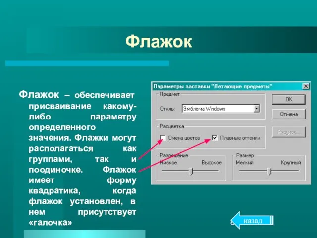 Флажок Флажок – обеспечивает присваивание какому-либо параметру определенного значения. Флажки могут располагаться